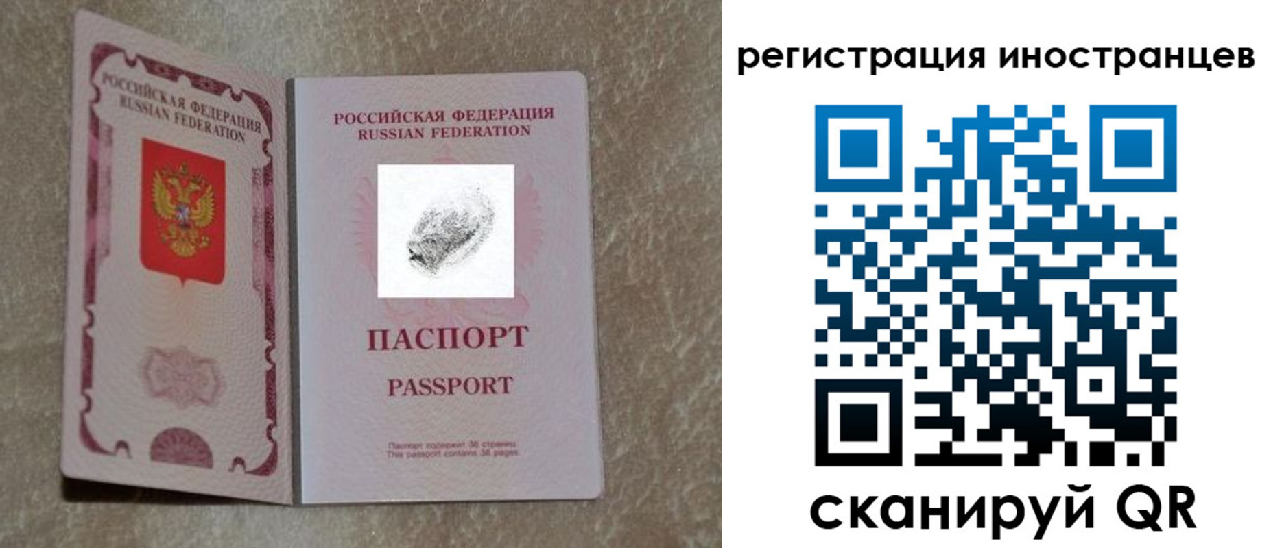 прописка законно в Могочи